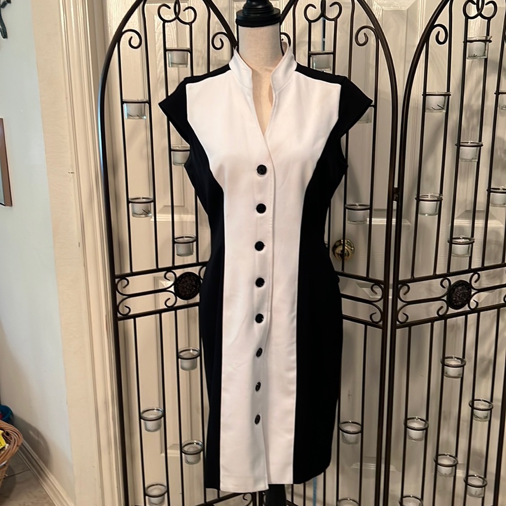 Professional Button Front Dress - image 1